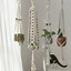 Image result for Macrame Wall Hanging Planters
