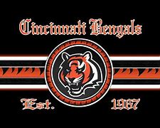 Image result for Cincinnati Bengals 4K Wallpaper