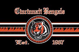 Image result for Cincinnati Bengals Background