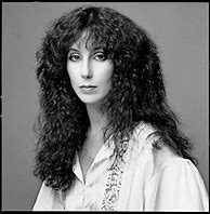 Image result for Cher 70s