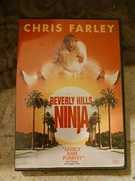 Image result for Beverly Hills Ninja DVD Menu