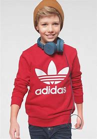 Image result for Boys Adidas Trefoil Hoodies