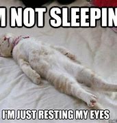 Image result for Funnny Sleep Quotes