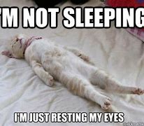 Image result for Funny Memes About Need a Nap