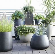 Image result for Modern Patio Container Gardens