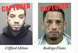 Image result for 100 Most Wanted Texas