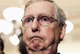 Image result for Mitch McConnell Funny Pics