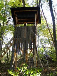 Image result for Deer Box Stand