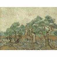 Image result for Vincent Van Gogh Art