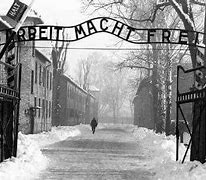 Image result for The Final Solution