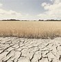 Image result for Canada $250M UN global food crisis