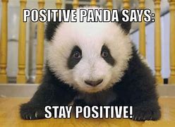 Image result for Stay Positive Funny