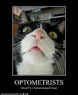 Image result for Funny Quotes About Eyes