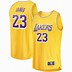 Image result for Los Lakers Jersey