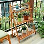 Image result for Plant Supports for Tall Plants