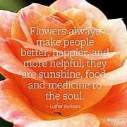 Image result for Flowers Brighten Your Day Quote