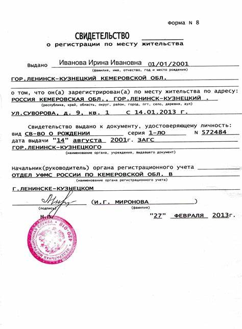 Как получить паспорт вид жительства РФ: инструкция для иностранных граждан
