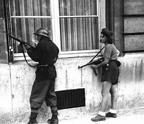 Image result for French Resistance Flag WW2