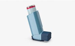 Image result for Brands of Asthma Inhalers