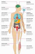 Image result for Stress Effects On Human Body Chart