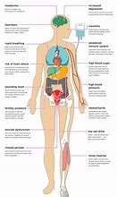 Image result for Effects of Stress On Body Diagram