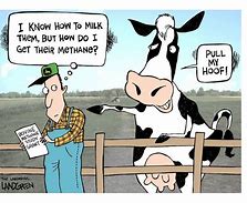 Image result for Farm Cartoons and Jokes