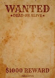 Image result for Blank Wanted Poster Background