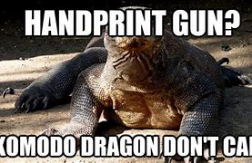 Image result for Comodo Dragon Meme