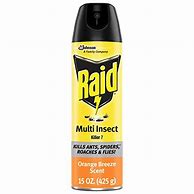 Image result for Raid Essentials Multi-Insect Killer 29 Trigger Spray - 12 Oz