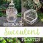 Image result for Small DIY Succulent Planter
