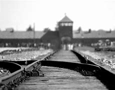 Image result for Auschwitz Uwe Boll Film