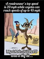 Image result for Looney Tunes Funny Quotes