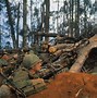 Image result for Vietnam War Fdootage