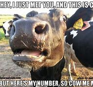 Image result for Farm Animal Jokes