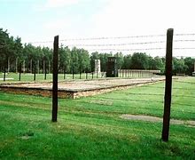 Image result for Primary Sources From Stutthof Camp