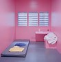 Image result for Prison Cell Inmate