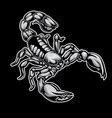 Image result for Scorpion Human