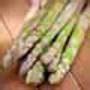 Image result for Jersey Supreme Hybrid Asparagus - 1-Yr Medium Grade (10 Plants)