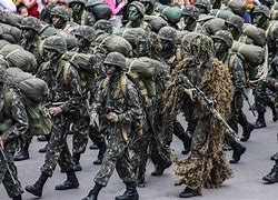 Image result for Lithuania Military