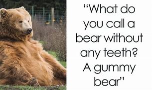 Image result for Jokes About Bears