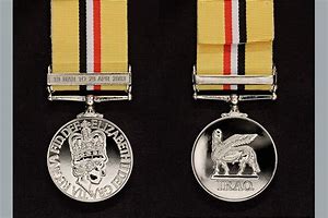 Image result for Iraq War Medals
