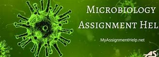 Image result for Microbiology and Biotechnology Assignment Help