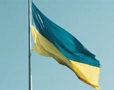 Image result for Ukraine Flag