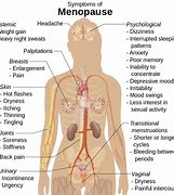 Image result for Stress Symptoms in Women