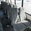 Image result for Passenger Bus