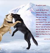 Image result for Wolf and Dragon Love Quotes