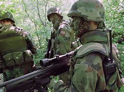 Image result for Polish Army Kosovo War