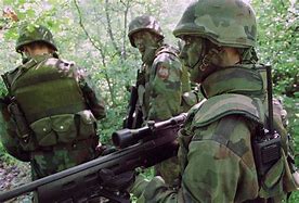 Image result for Bosnian Serb Armed Forces