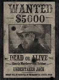 Image result for Wanted Poster Example Info