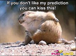 Image result for Funny Groundhog